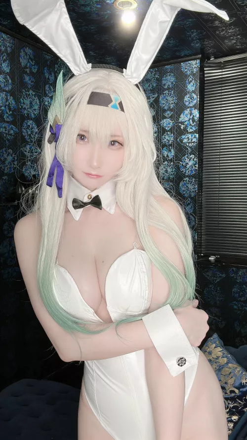 @zenzai_atk HSR Honkai Firefly Bunny outfit Cosplay by Pwnagepancakes
