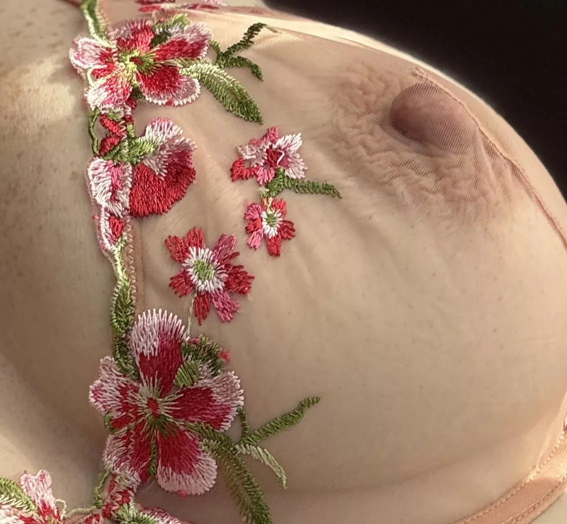 New bra and it shows off my wrinkled nipples posted by Unlimited_mango