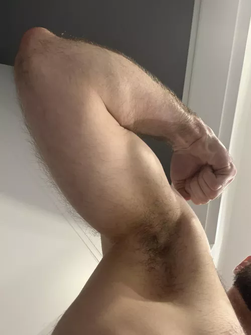 Pig out little bro by myouwei