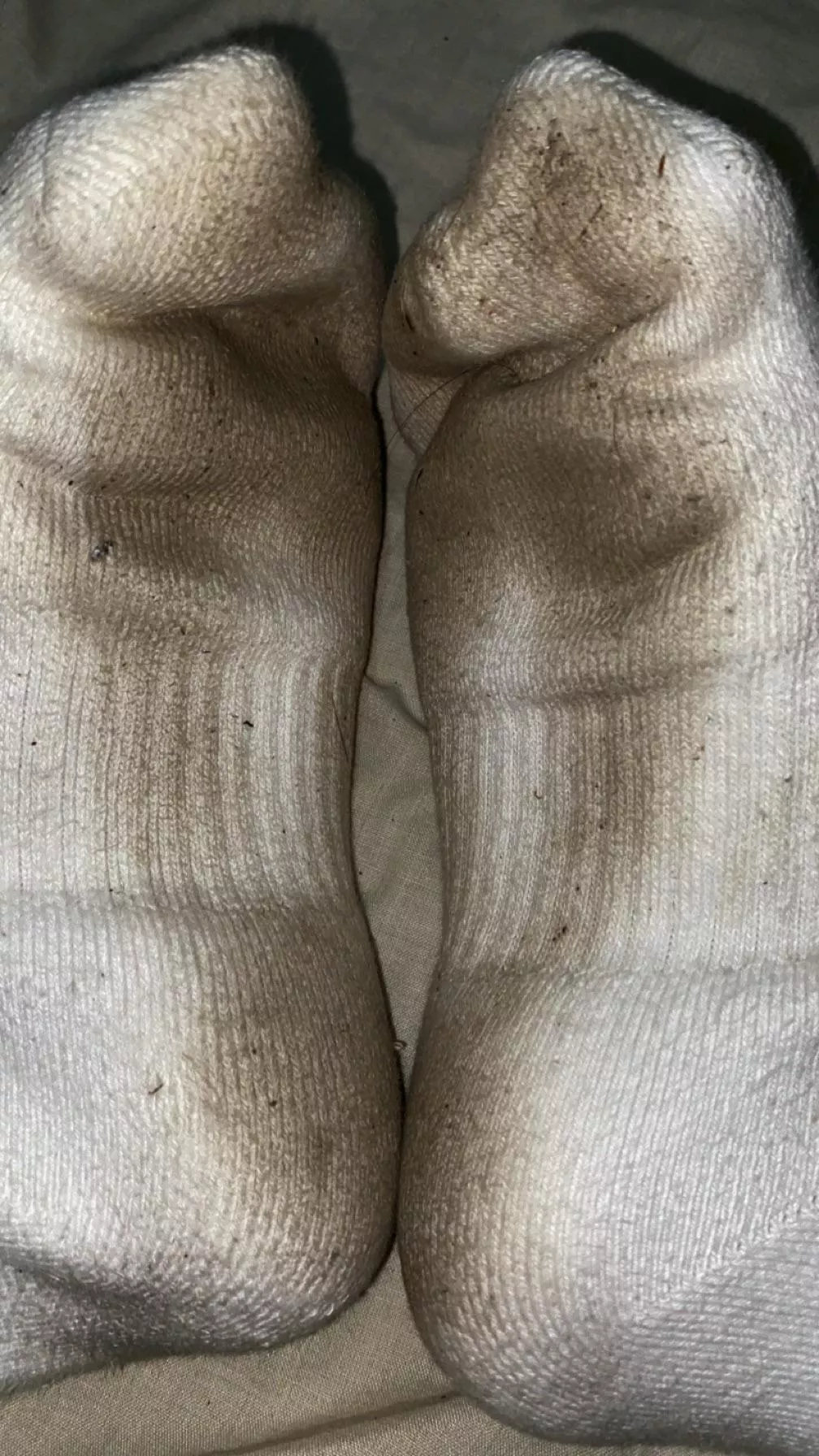 who wants a sniff? posted by kathleendanex