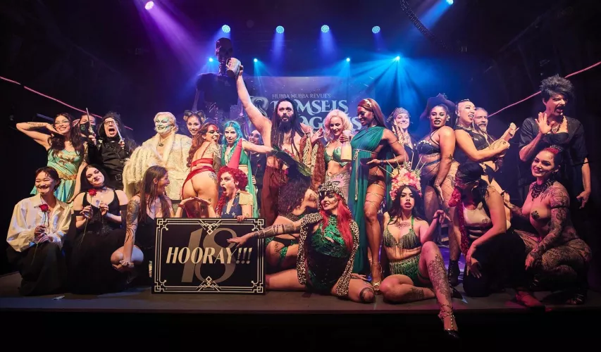 Nerd's Cradle performs 