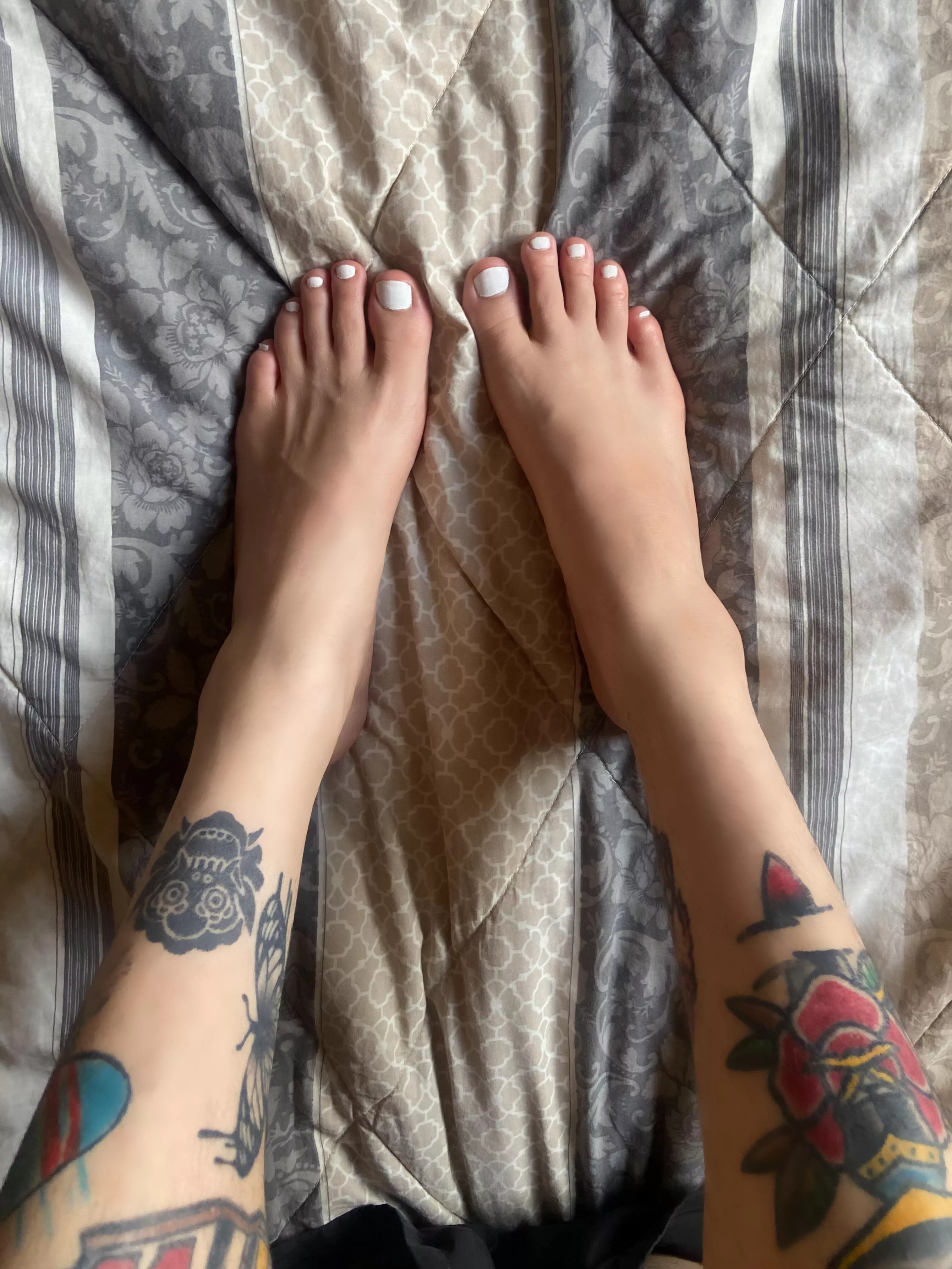 Are they suckable? posted by bicuriousass22