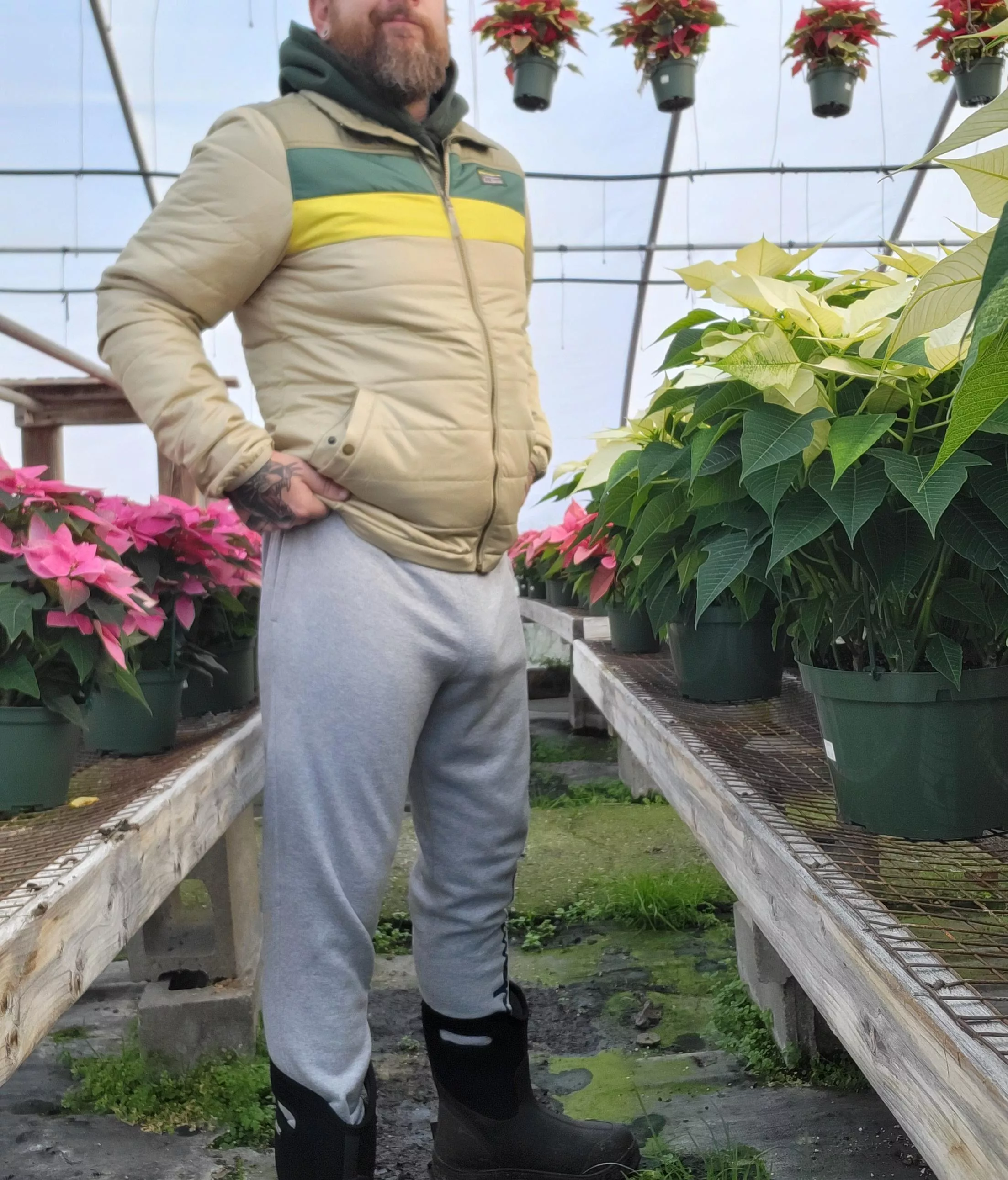 Bearded in sweats. No boners at work! But here ya go.  posted by inkedcub87