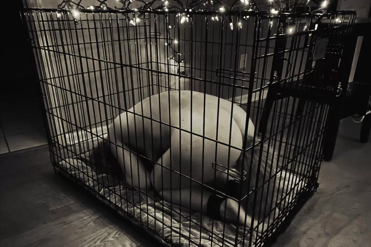 Enjoying being led to positions where service is law posted by HarsyDom