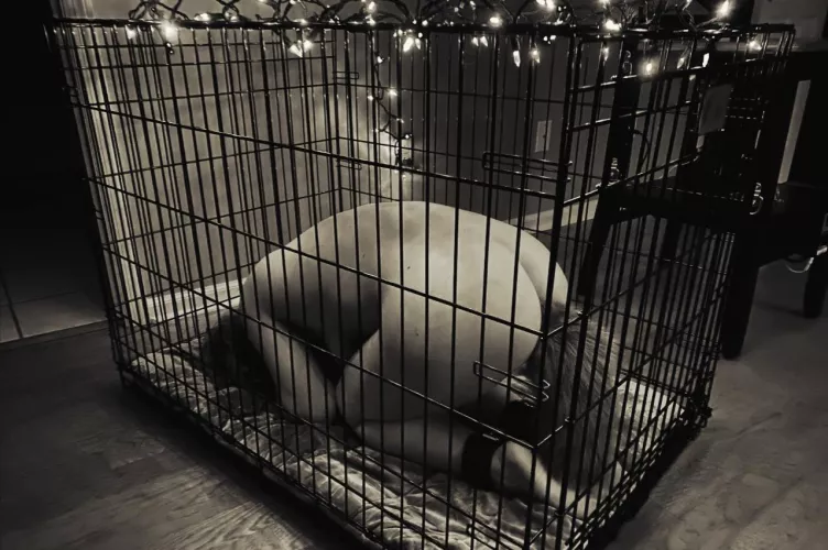 Enjoying being led to positions where service is law by HarsyDom