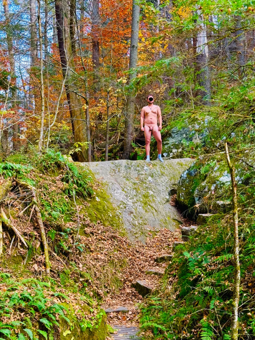 Fall forest nudity - little cold but still fun posted by FeeDense3928