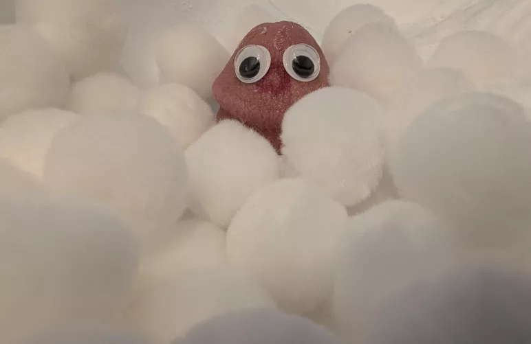 Found this guy hiding in the snow by Pinchedada