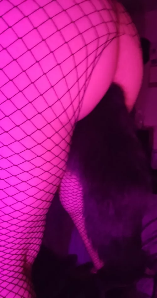 Tail time and fiahnets by Anemone-san