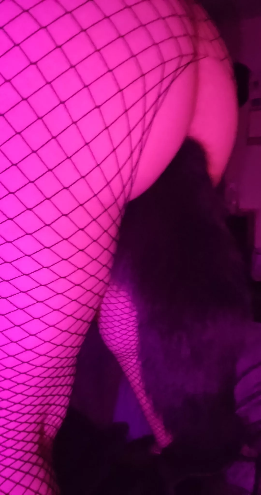 Tail time and fiahnets posted by Anemone-san