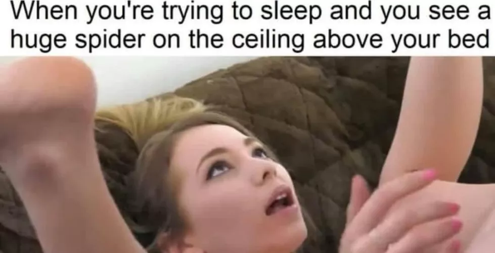 Be careful when you see spider 🕷️ by mihirfriends200