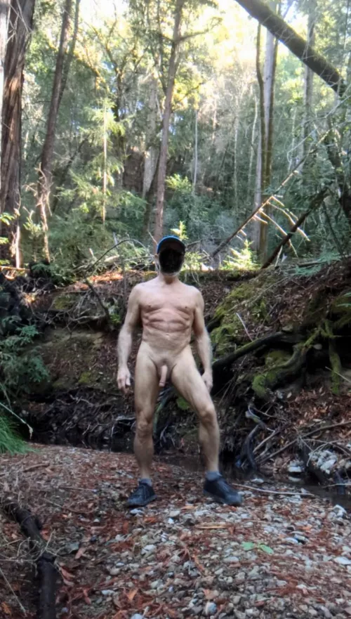 Hiking in the redwoods is the best. by CalBare