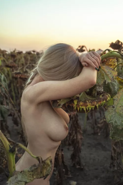 A beautiful sunset and a heart full of happiness 🌅❤️✨ by EverydayCalmy