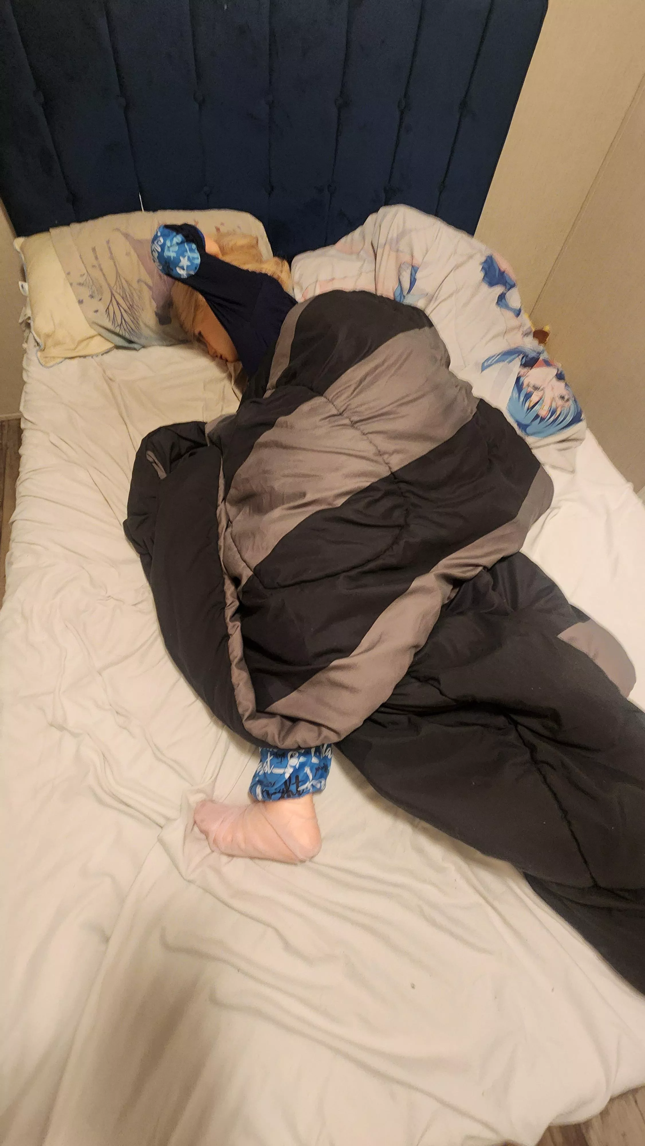 Bed Hogger posted by Shadowstar245