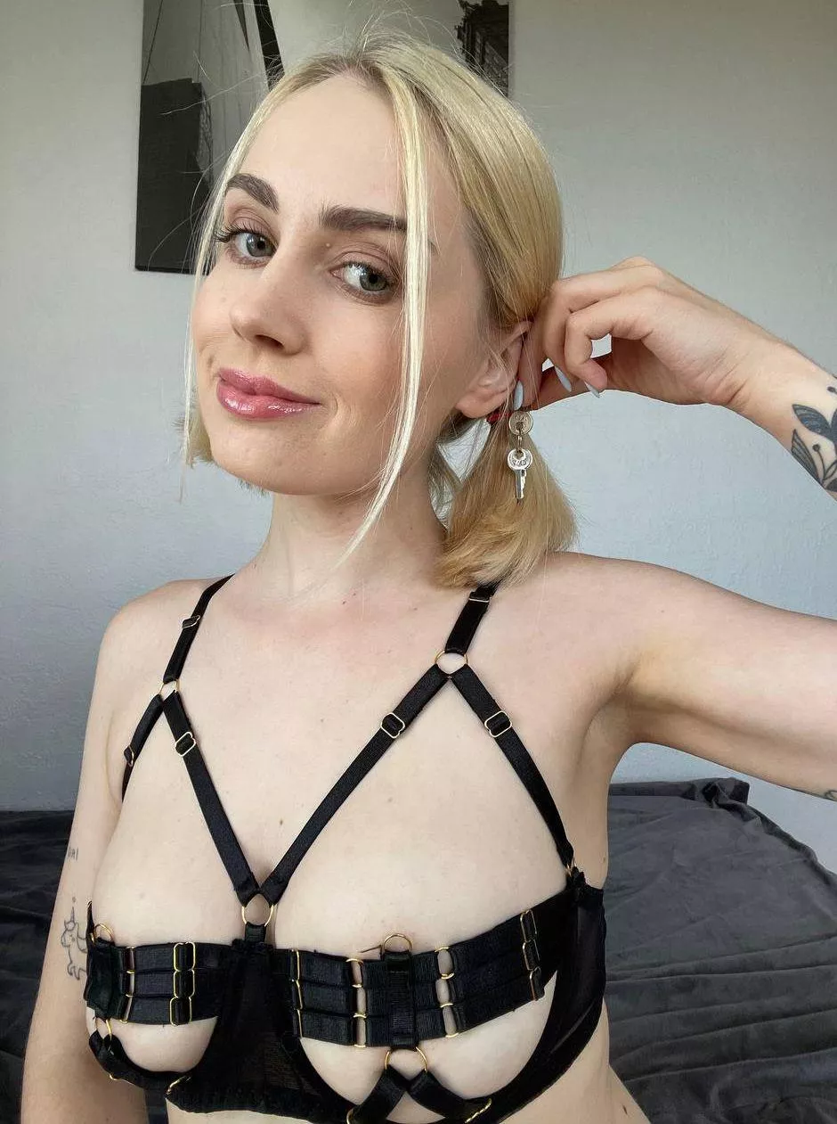 How many times have you jerked off this month?
 posted by NaughtyScarlet