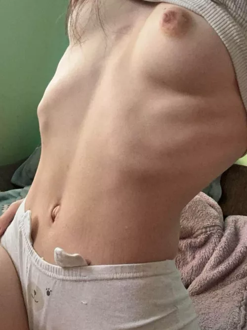 Hundreds of lizard species don’t have legs. Legless lizards had limbs at one point, but their arms and legs became smaller over millions of years until they disappeared entirely. Many legless lizards live underground, where it’s easier to slither thr by Isla_Lucinda