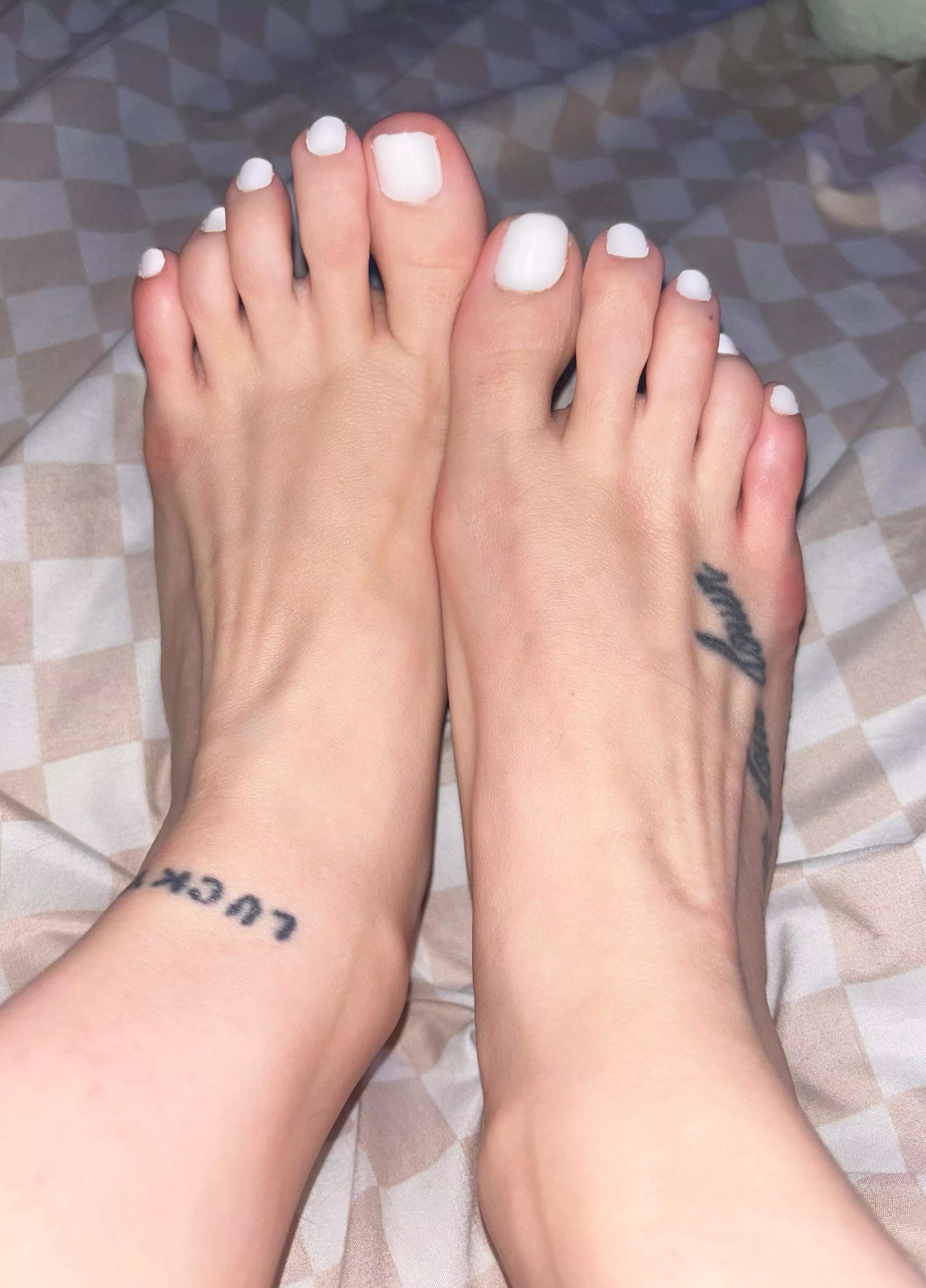 i need someone to worship my feet posted by daisyjade333