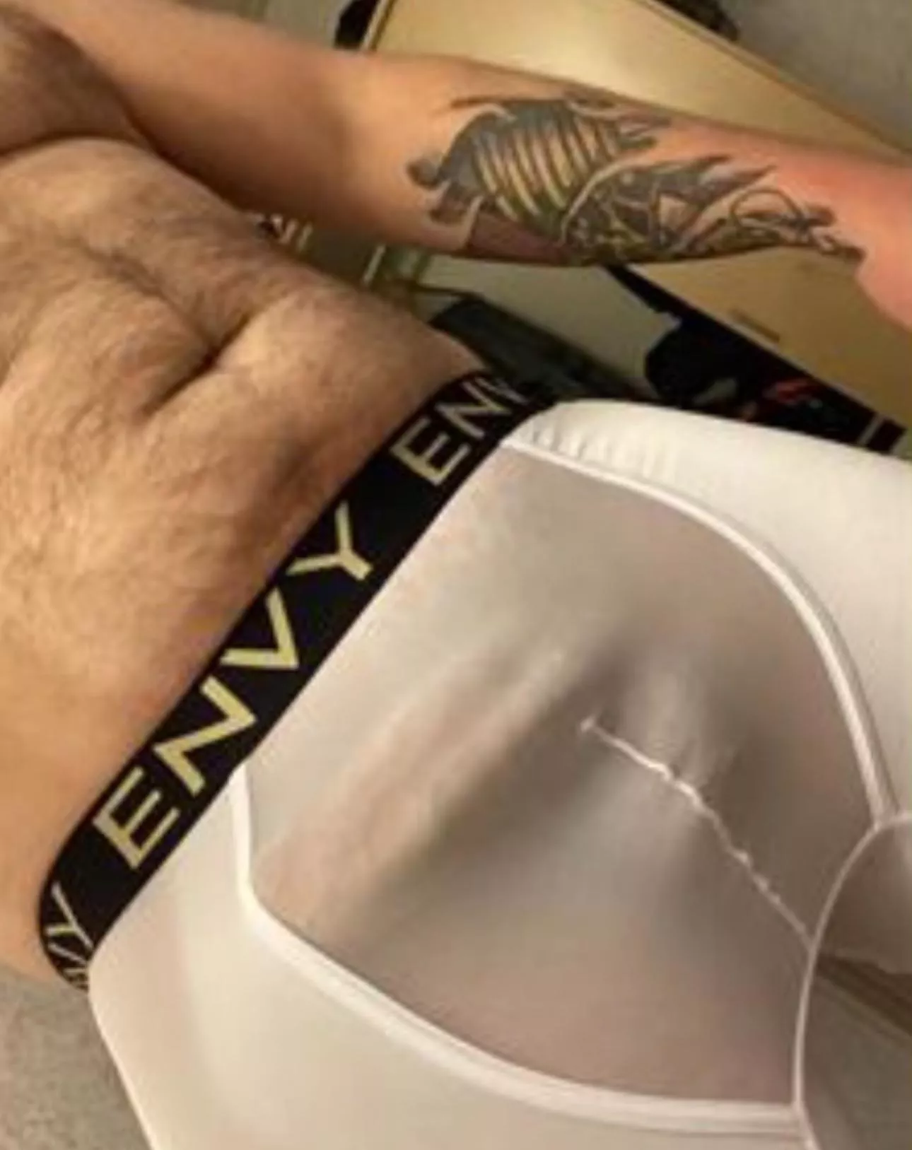 Little Tuesday Bulge  posted by Intelligent_Net_780