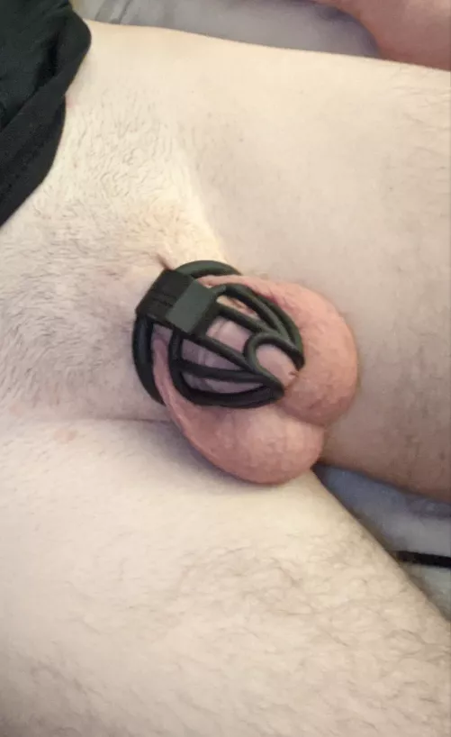 New to this  by Humble_Ad2414