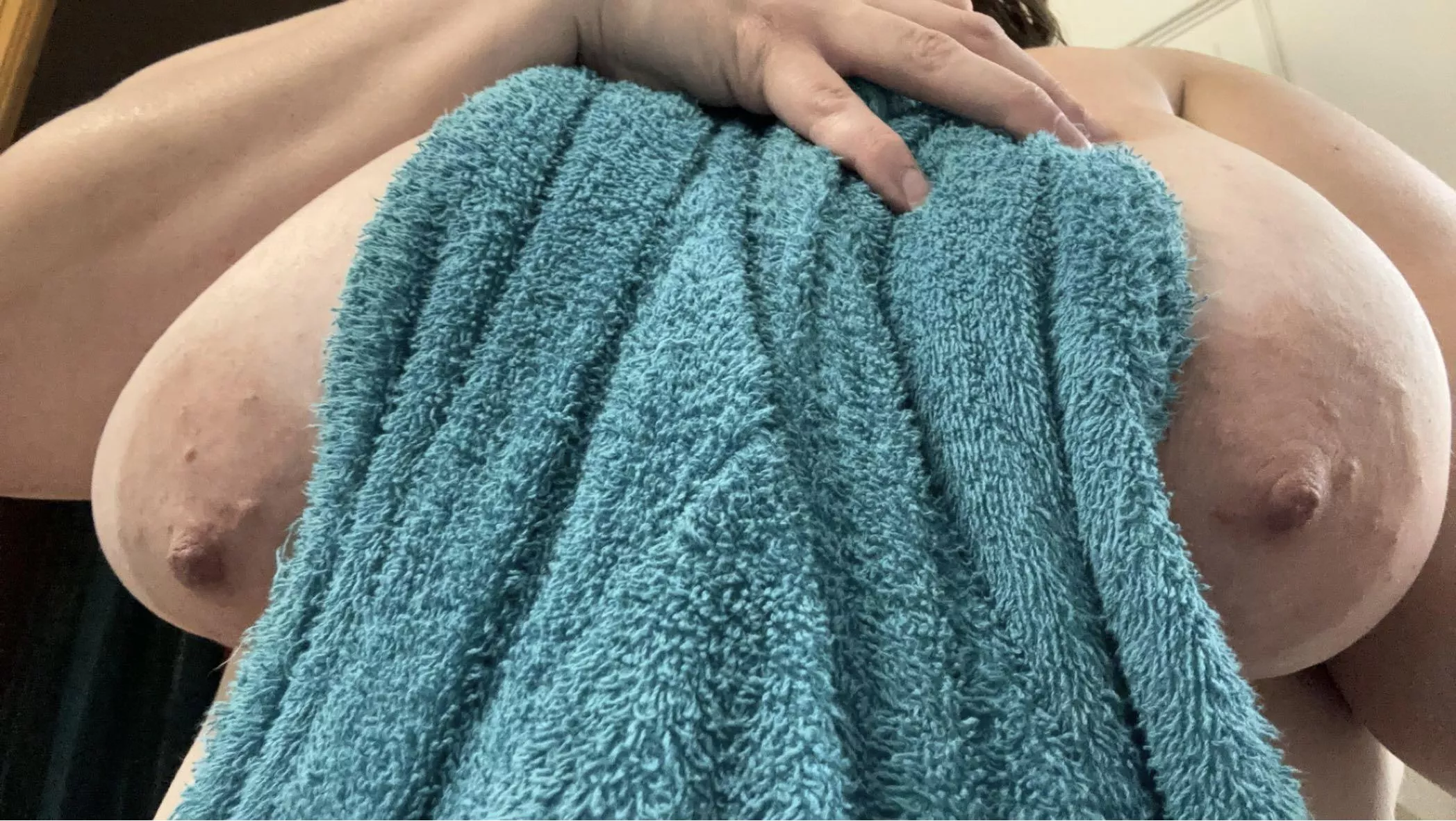 Tits on a Tuesday posted by wanderingforwieners