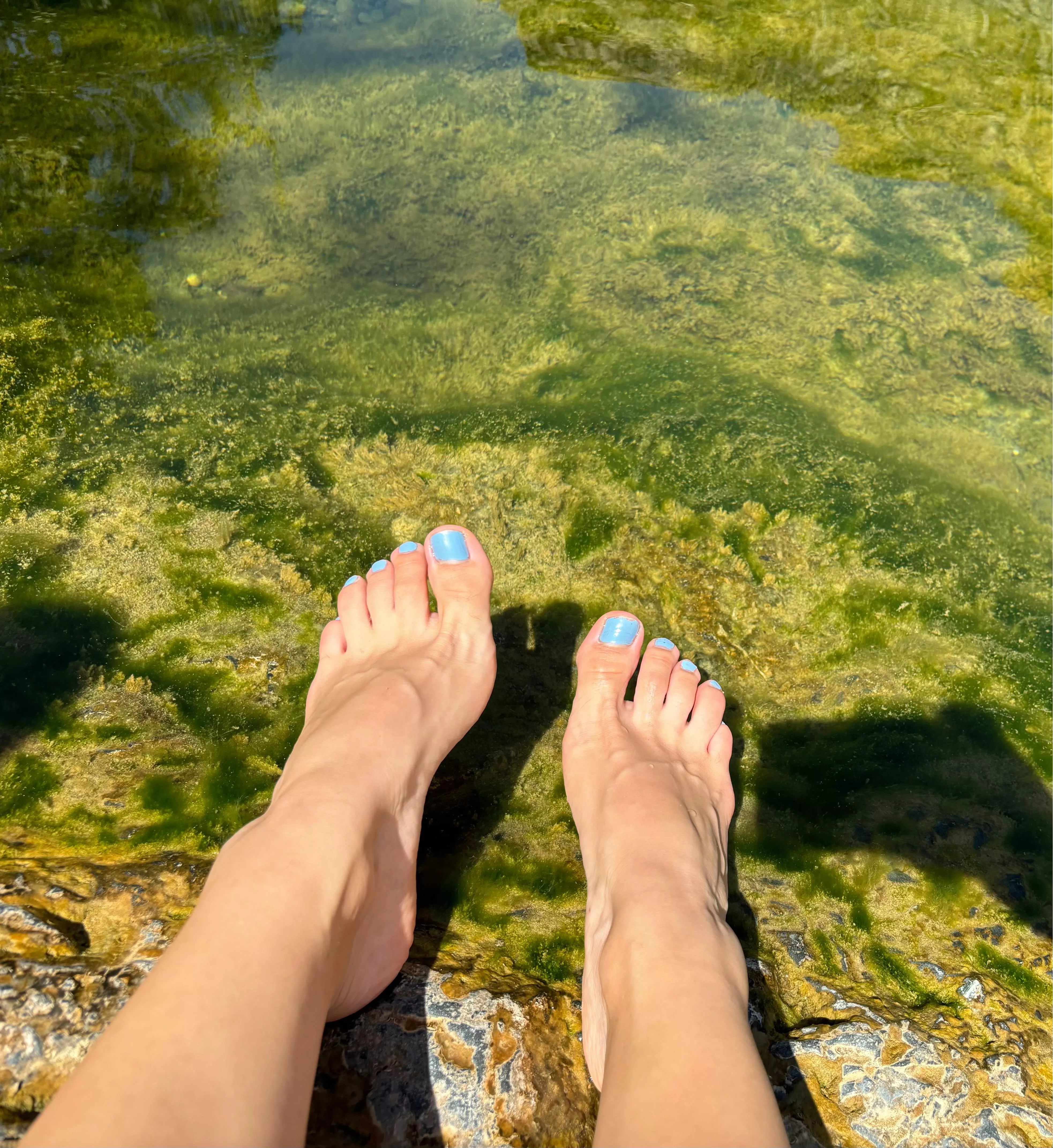 What fantasies run through your head when looking at my veiny feet?🫣 posted by dontDoItNatalie