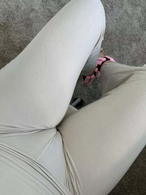 Work from home today, and she's craving for some attention by FlimsyClimate8445