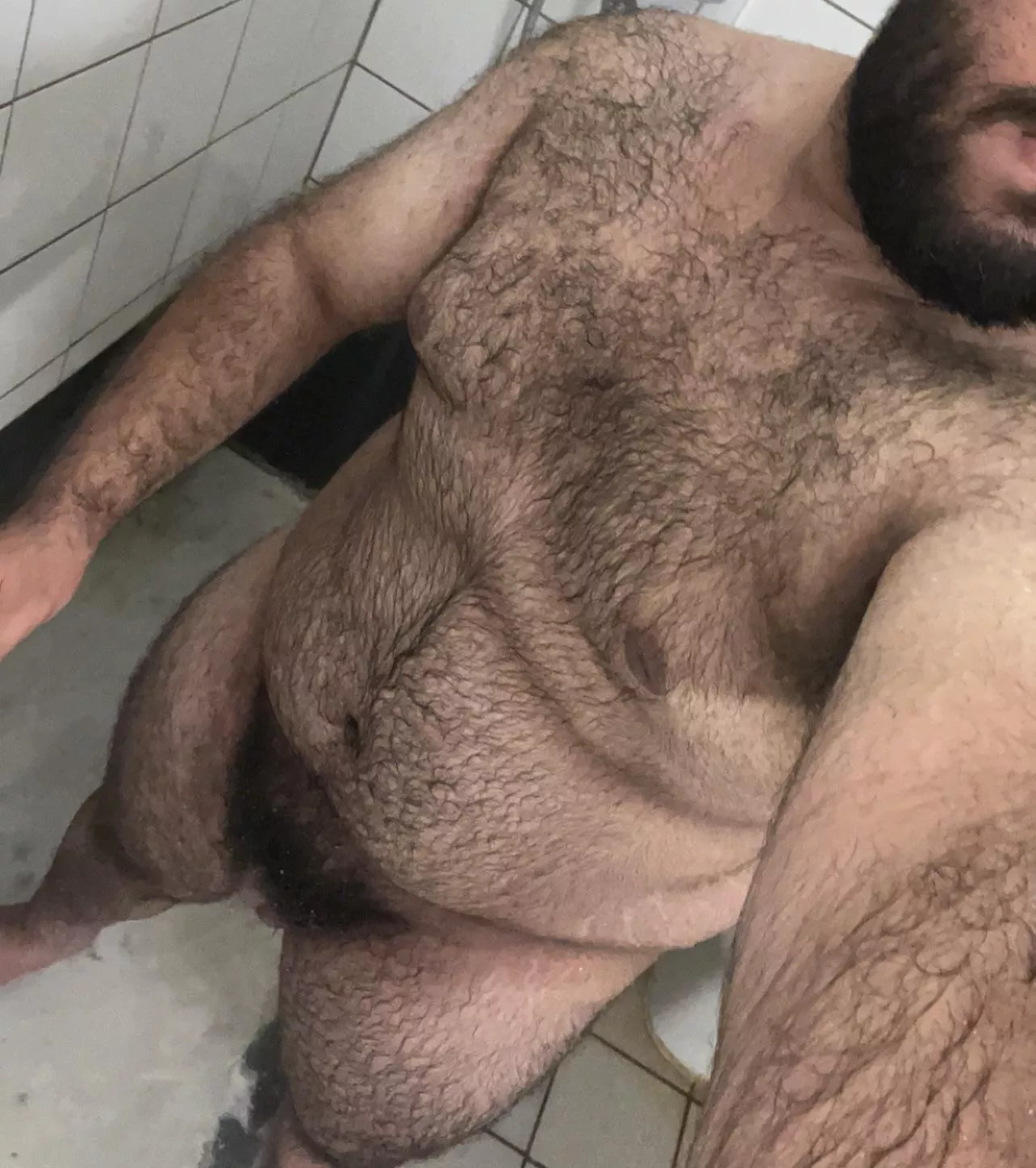 (21) hairy bottom bear, searching for a boyfriend posted by MelAelZel