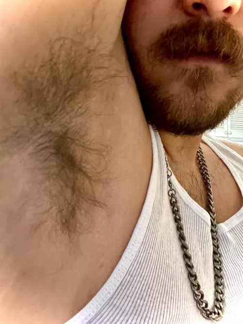 Come on and sniff by FoxterTheFox