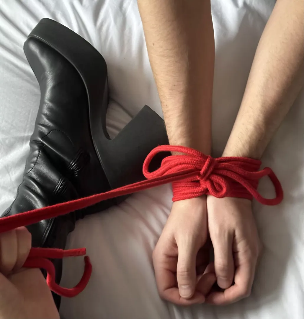 Early Christmas gift - what do we think it is? 🤭 by WorshipArabella