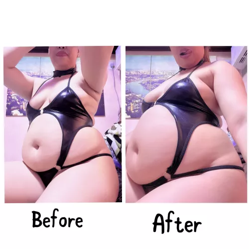 Feed me feeders by PIGGYBRATTY