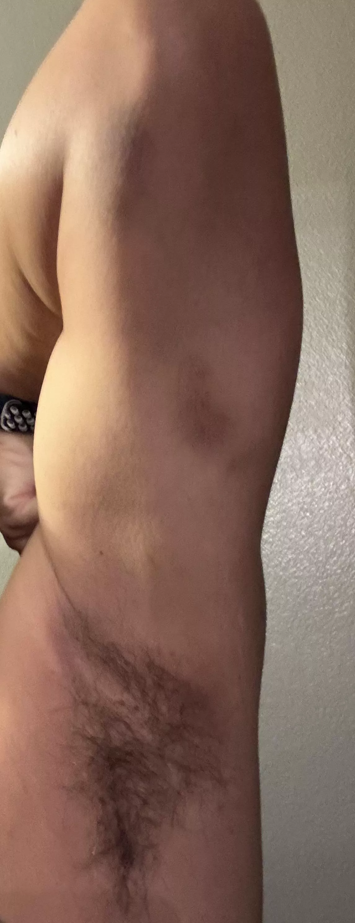 Insert your face here  posted by Zeebraguy