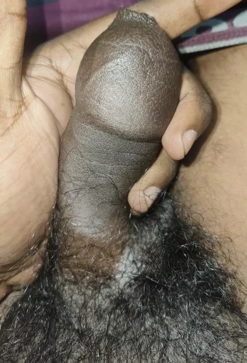 Who likes it by No_Iron7063