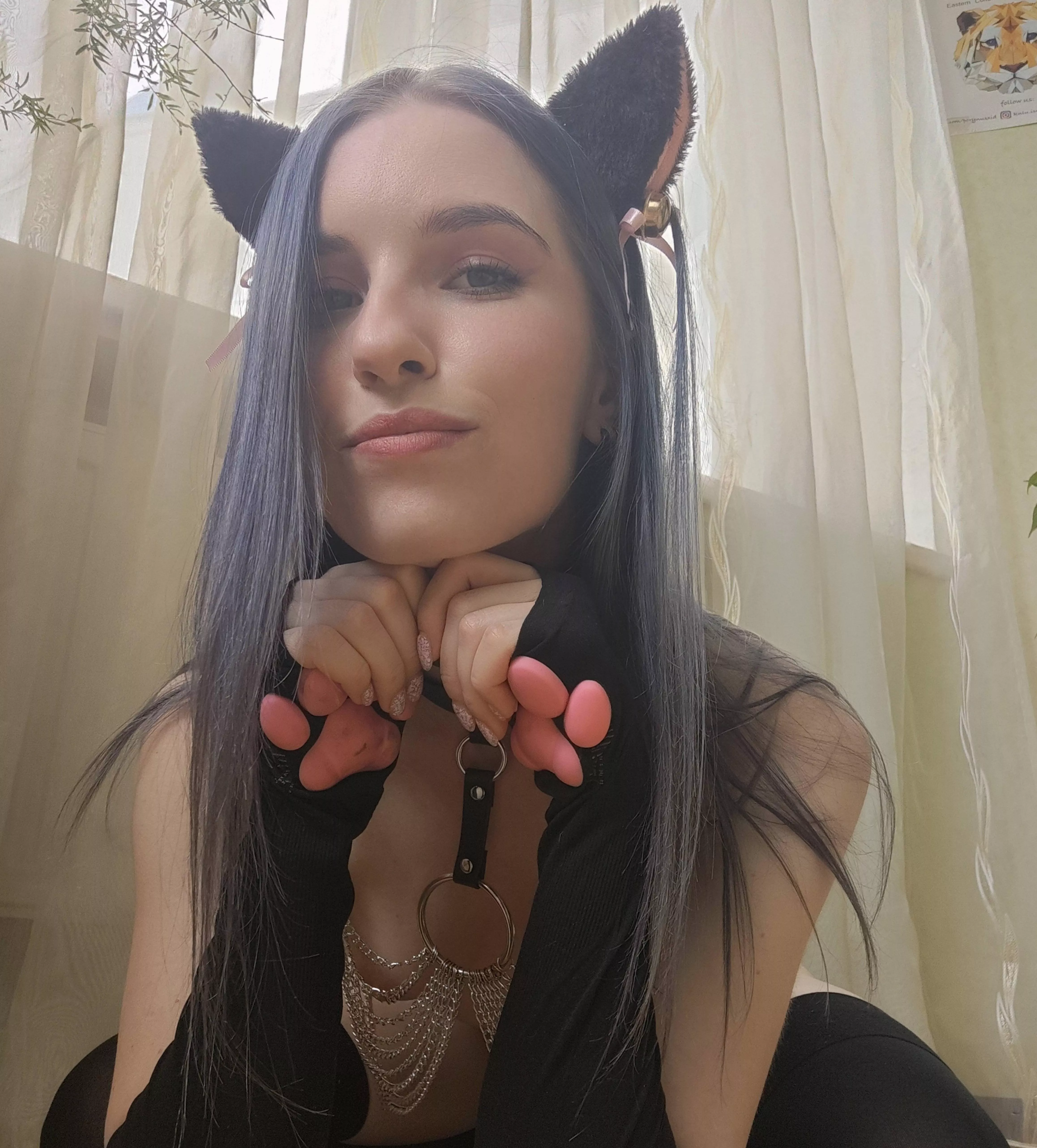 your sweet kitten will behave obediently posted by hailey_cute