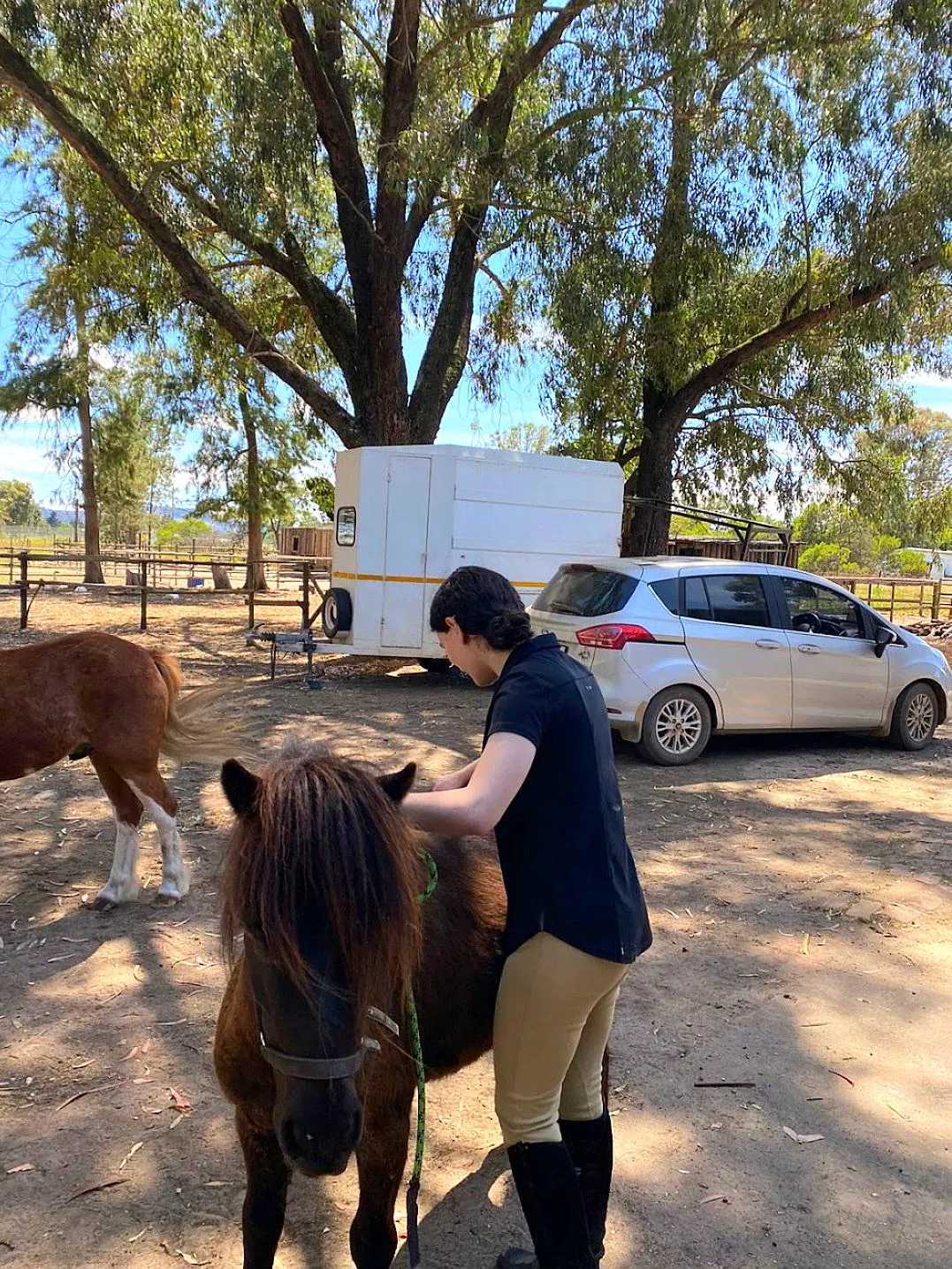 Come watch me clean the ponies? 😋 posted by skinny_jewish_girl