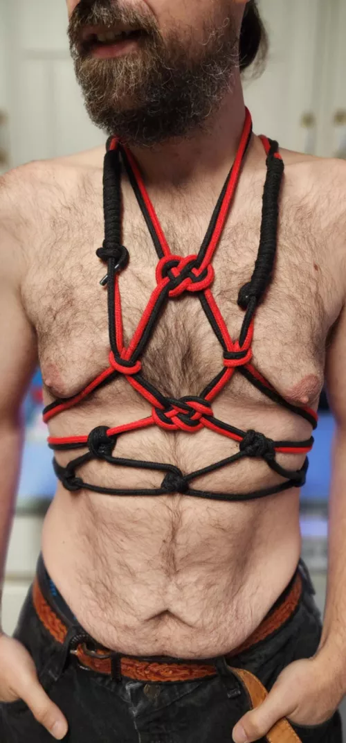 Mommy made me an harness for tonight party  by Dense-Temporary-3370