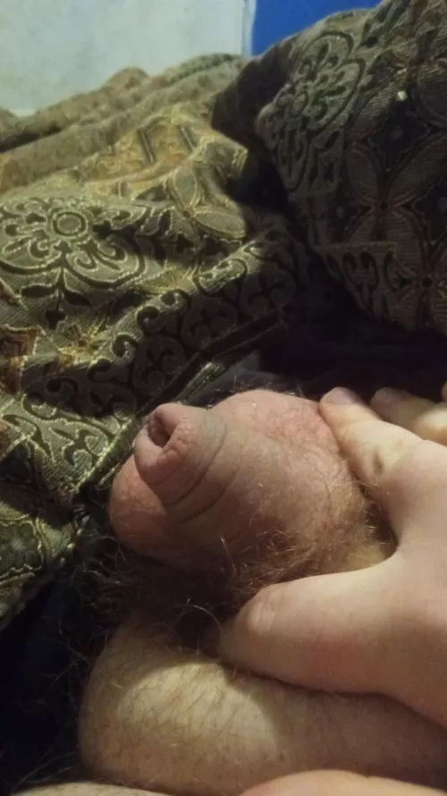 What would you do with it or do to it by Old-Feeling6462