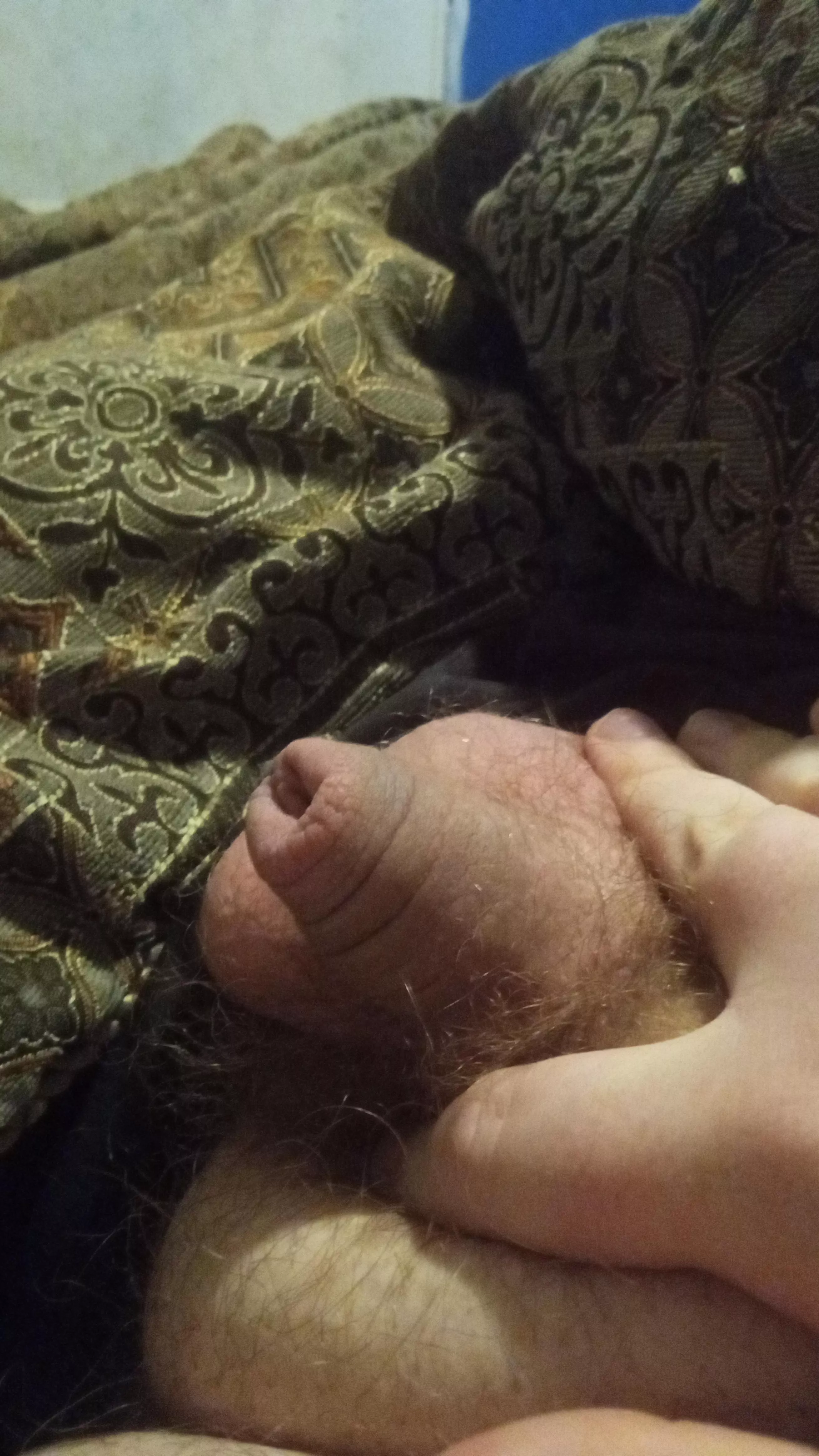 What would you do with it or do to it posted by Old-Feeling6462