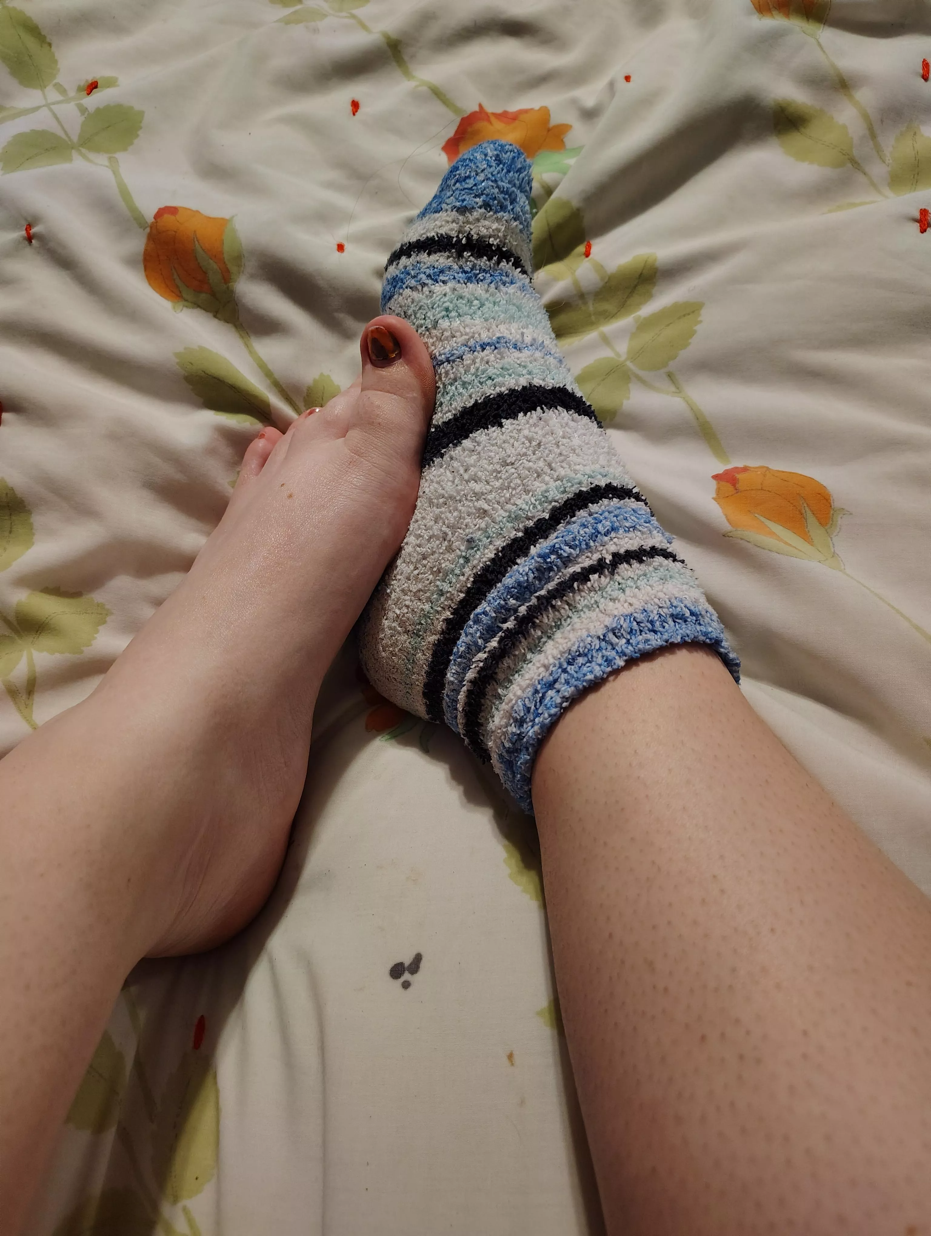 All cozy in bed 🩶 posted by Elsa232