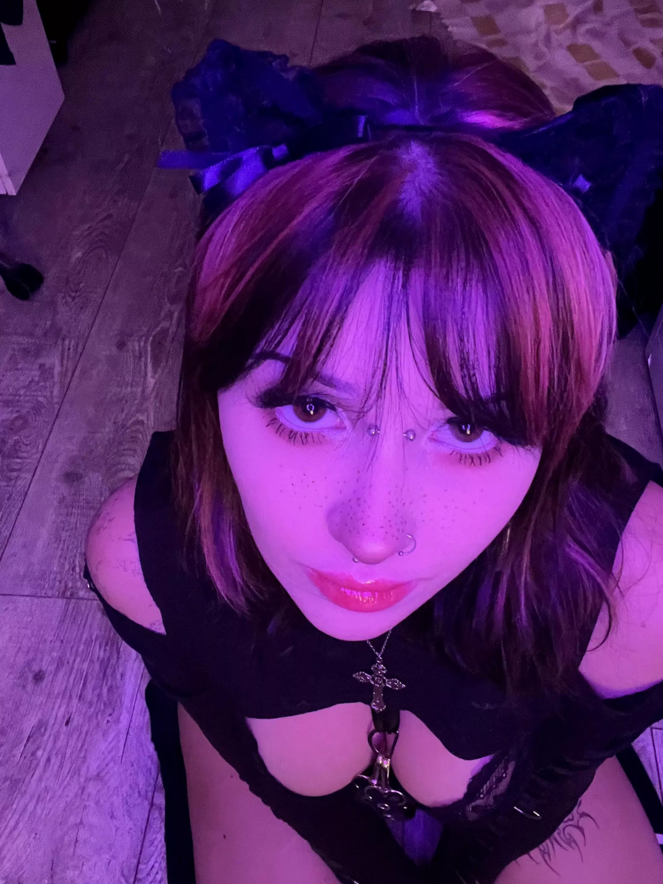 i look innocent but trust me, this kitten can get wild ;) posted by LazyAcadia6481