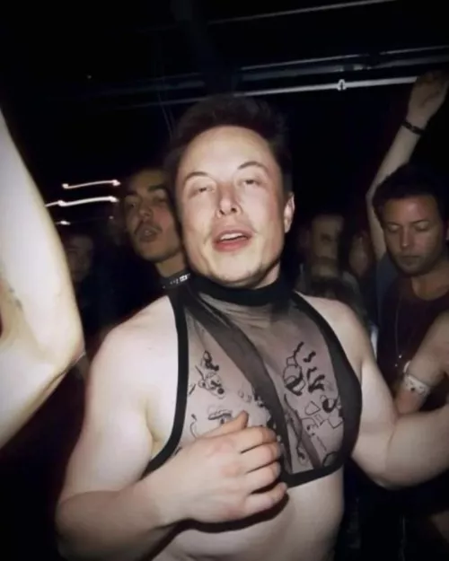 Musk rocks by Cletus69VanDamme