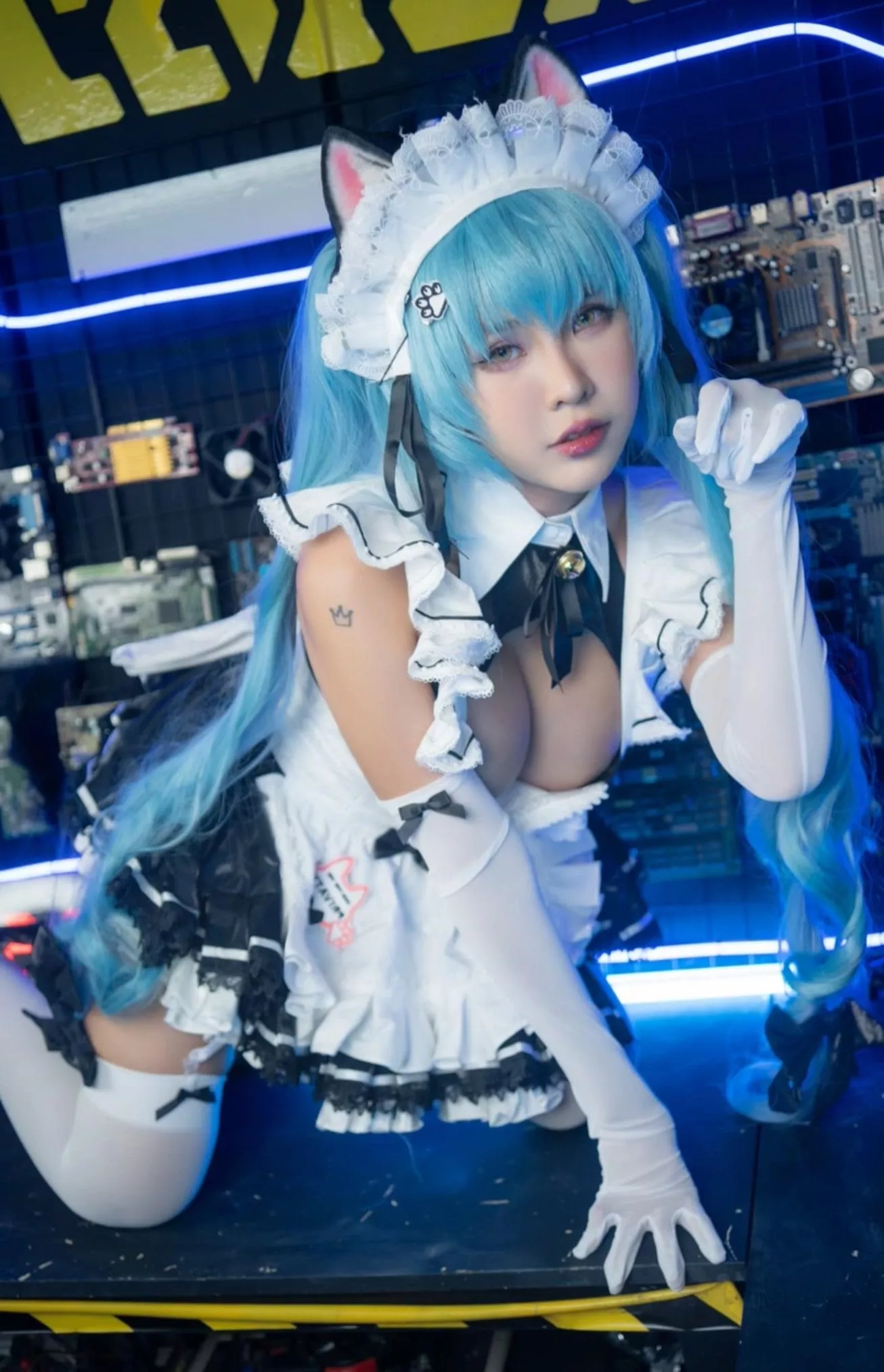 This little kitty wants to play. Let's have some fun dadi posted by Minichu-play-18