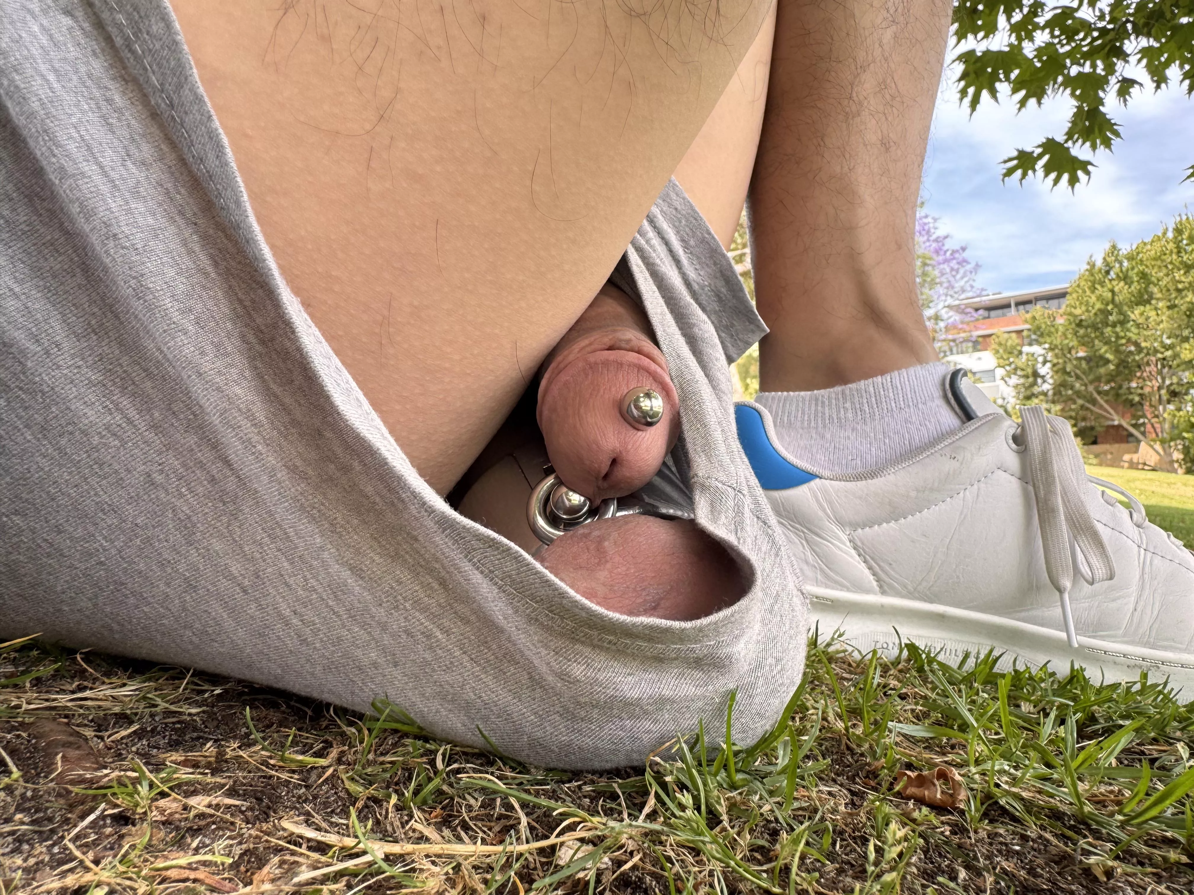 Apa posted by hatahata64