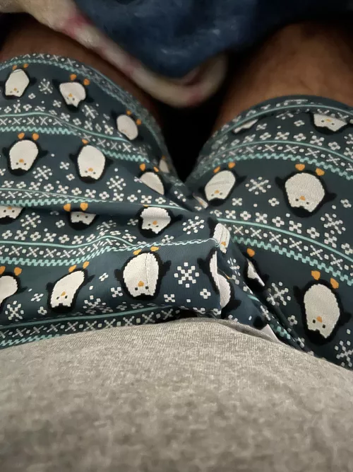 Caught my neighbors eye this morning  by Ok_Foundation_3508