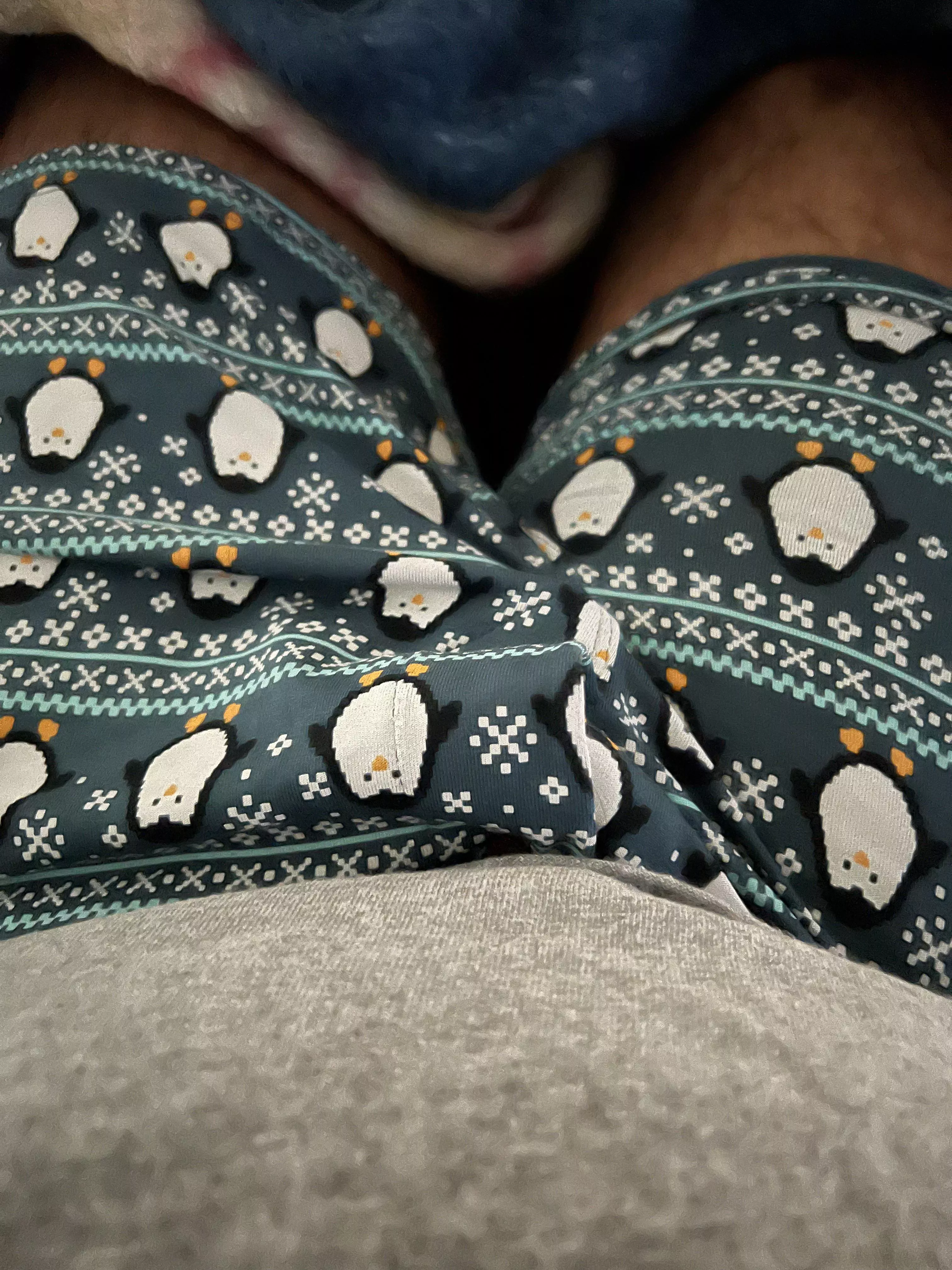 Caught my neighbors eye this morning  posted by Ok_Foundation_3508