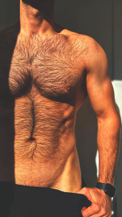 Golden Rays on Icy Days by FenrirsShadow