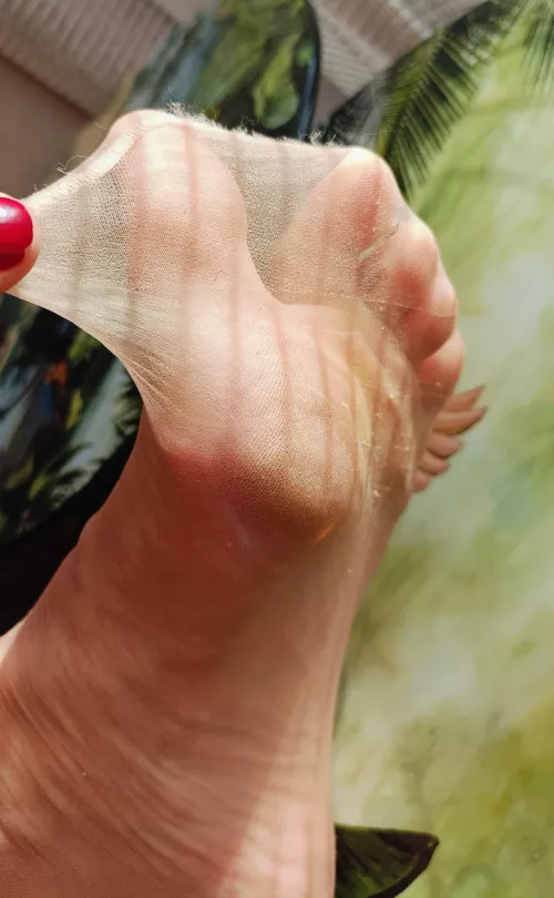 I love the sunshine through my sheers, do you?  by frolleinscherz