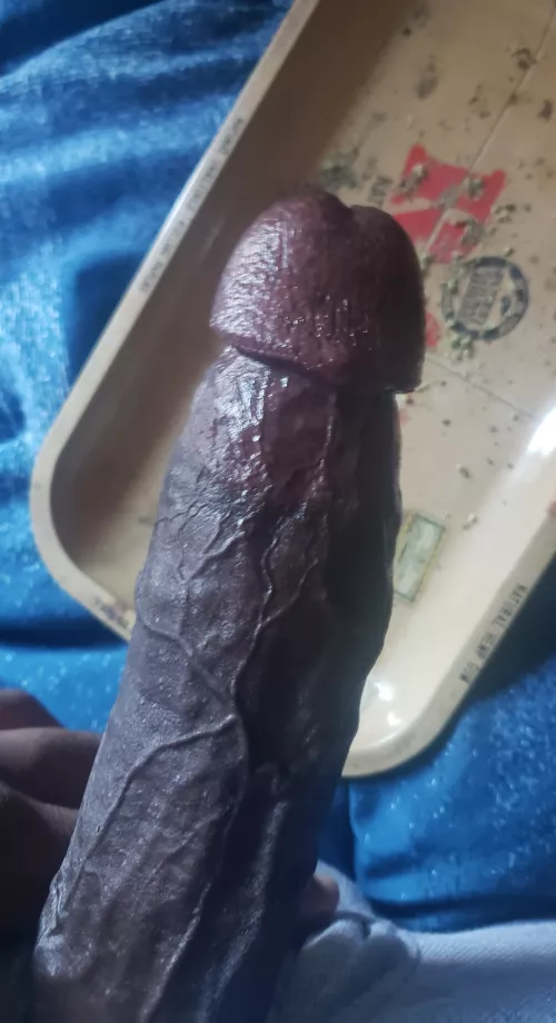 Name a better combo  by Pay2playbbc