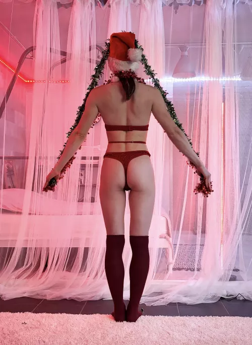 Variseeko neulaset liian aikaisin? by s_altonellis