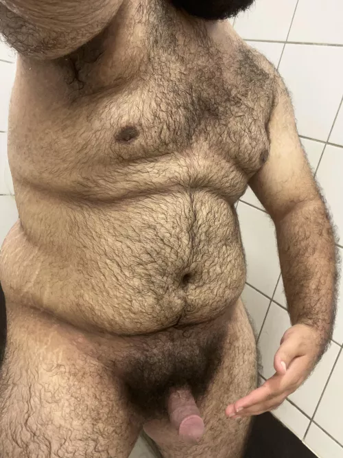 (21) hairy bottom bear, any man wanna make me his boyfriend? by MelAelZel