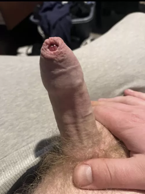 25M love sucking foreskin so much, here’s mine (dms always open) by bbwmilflover77