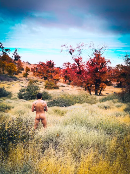 Another gorgeous view and meadow by ulixeshaus